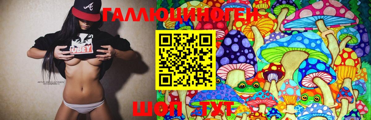 Черногорск  Галлюциногенные грибы Psilocybe  Вход с VPN 